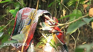 Juicy Teen Pussy Gets Bent Over By Lucky Farmer - Outdoor BBC Action