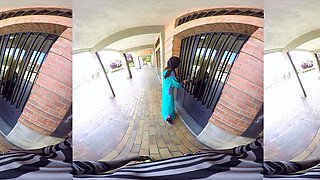 N2 The Gene Pool Black and Ebony