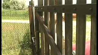 Teenievision 9: Teenage Sunset