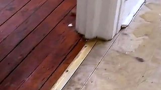 Destroying this kitchen with my powerpissing stream