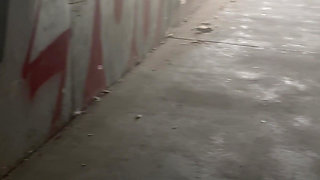 Pissing in the Underpass to the Bus Stop