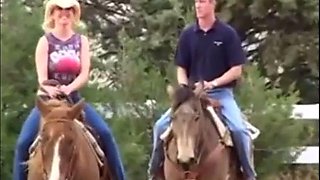 Datepornstar: Blowjob, Doggy  Cowgirl Porn