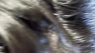 Pinay MILF POV Doggy to Back Cumshot - Lexxi Wett