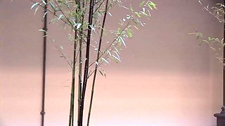 MILF Jane Bond The Boss And Her Toyboy