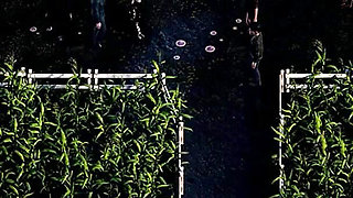 The Genesis Order V43092 Part 111 I Cum Inside a Horny MILF by Loveskysan69