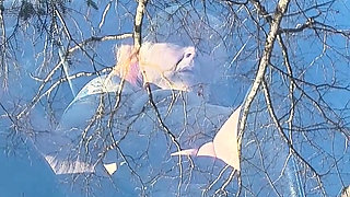 He's Watching Again Strangers Naughty Grin