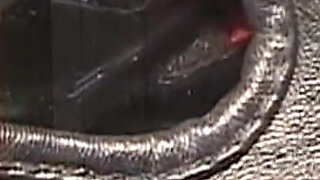 Mature Leather Domme Binds Her Fishnet Slave