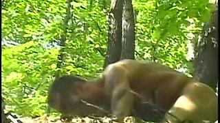 Fun times in the forest