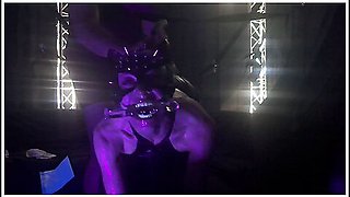Flesh Shudders As Cum Pools Where Pussy Never Paused , Blondes Trembling Ass Opens Wide For Reckless Thrusts - Cat Woman