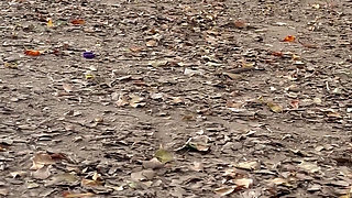 My Neighbor Is Caught Masturbating in Public