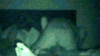 Amateur girlfriend closeup hardcore creampie action