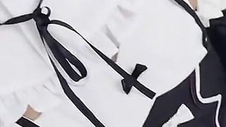 Japanese Anime Cosplay Rem -