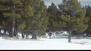 Baby It's Cold Outside: Movie Compilation