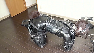 A Puppy Bound with Latex, Walking the Dog
